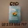 Profile picture of Toko Jual Cialis Asli Di Surabaya 082221616707 Obat Kuat Cialis Di Surabaya
